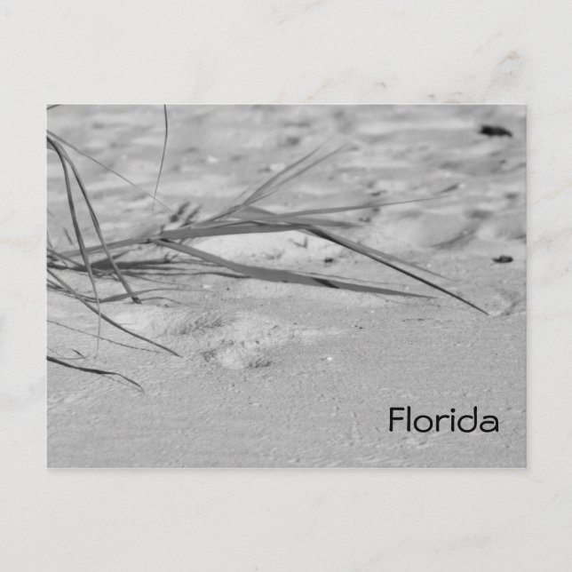 Cartão Postal Flórida (Frente)