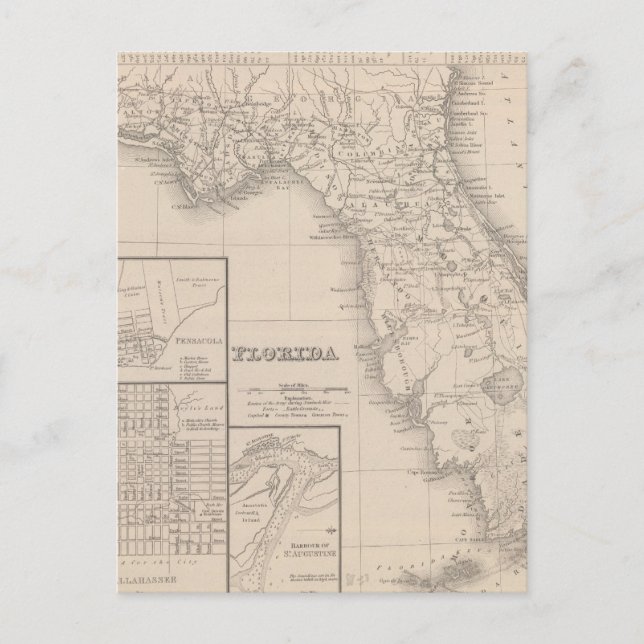 Cartão Postal Flórida (Frente)