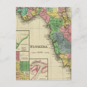 Cartão Postal Flórida 11