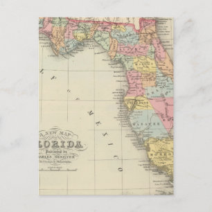 Cartão Postal Flórida 13