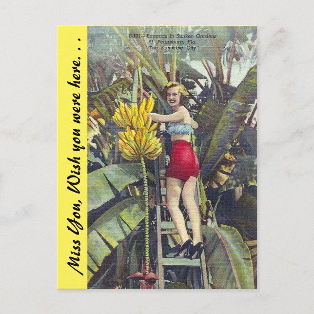 Cartão Postal Flórida: "A Cidade Sunshine" (Frente)