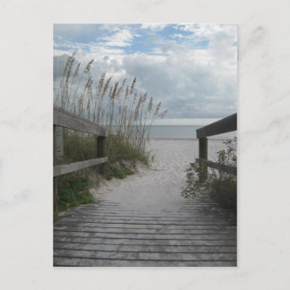 Cartão Postal Florida Beach Path