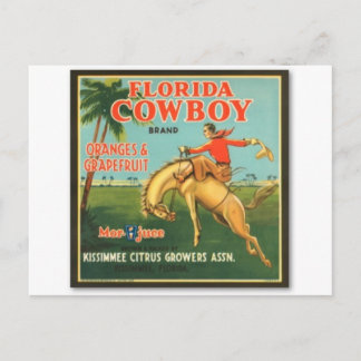 Cartão Postal Flórida Cowboy