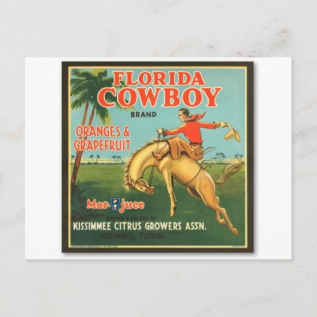 Cartão Postal Flórida Cowboy (Frente)