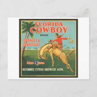 Cartão Postal Flórida Cowboy Kissimmee Citricultores Vintage Cr
