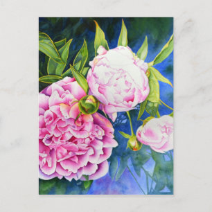 Cartão Postal Flórida de cor branca-rosa-rosa-esbranquiçada