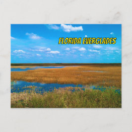 Cartão Postal Flórida Everglades Sawpôde, Céu e Reflexões