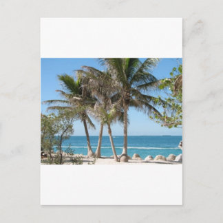 Cartão Postal Florida Keys