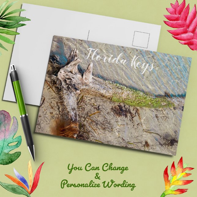 Cartão Postal Florida Keys Bahia Honda Driftwood Shore (Criador carregado)