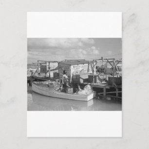 Cartão Postal Florida Keys Fisheries, 1938