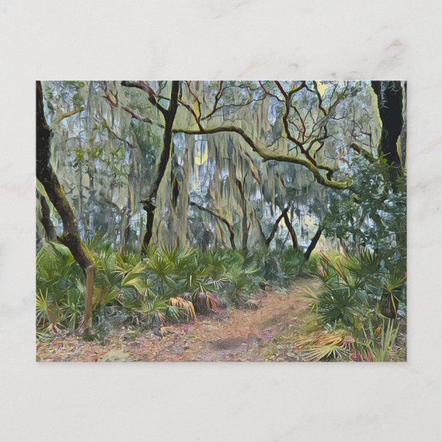 Cartão Postal Flórida Lace Espanhol Impressionista Arte (Frente)