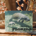Cartão Postal Flórida Manatee and Baby<br><div class="desc">Este design pode ser personalizado na área fornecida pela alteração da foto e/ou do texto. Ou pode ser personalizado clicando em Personalizar este Modelo e, em seguida, escolhendo o clique para personalizar mais a opção e excluir ou alterar a cor do plano de fundo, adicionar texto, alterar a cor ou...</div>