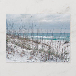 Cartão Postal Florida Panhandle Beach