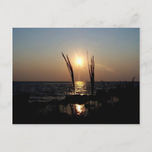 Cartão Postal Flórida Sunset