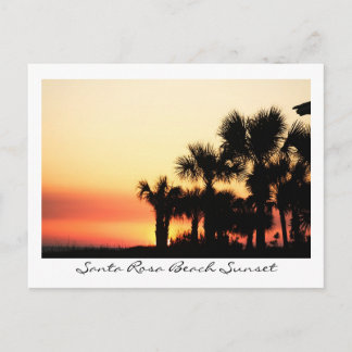 Cartão Postal Flórida Sunset Papais noeis Rosa Beach Palm Trees