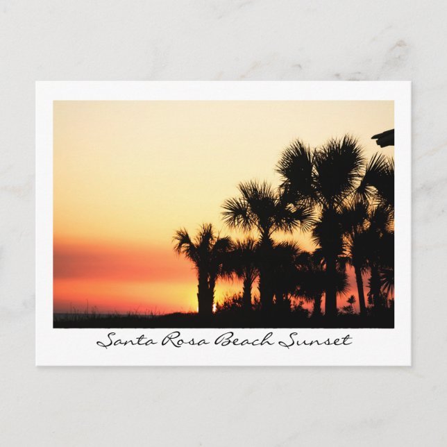Cartão Postal Flórida Sunset Papais noeis Rosa Beach Palm Trees (Frente)
