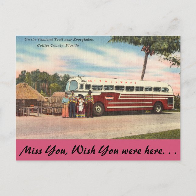 Cartão Postal Florida, Tamiami Trail, Everglades (Frente)