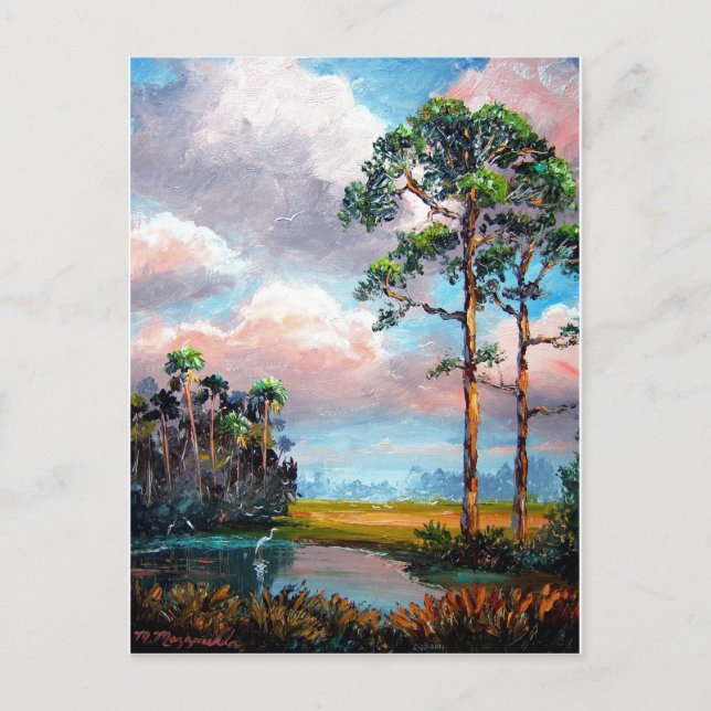 Cartão Postal Flórida Wilderness (Frente)