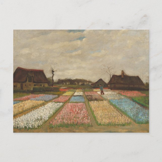 Cartão Postal Flower Beds na Holanda por Vincent Van Gogh Postca (Frente)