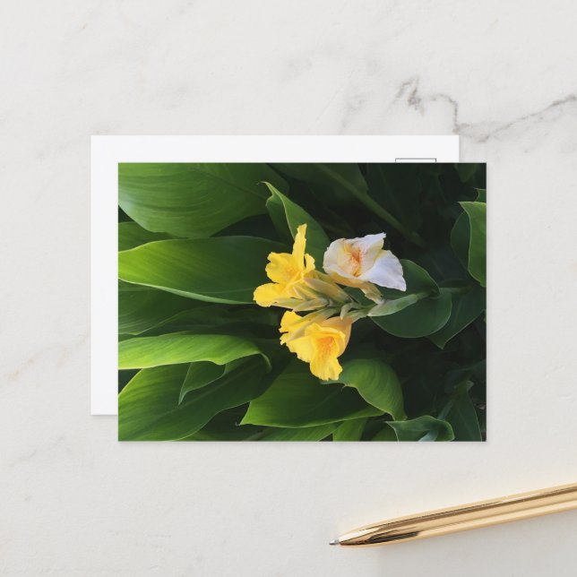 Cartão Postal Flower Delivery (Frente/Verso In Situ)