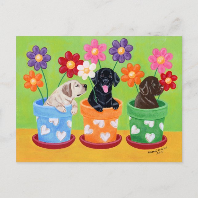 Cartão Postal Flower Pote Labrador Puppies (Frente)