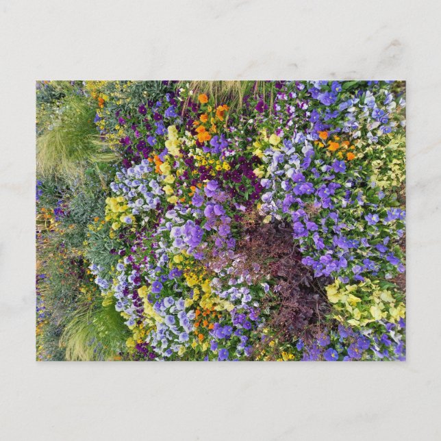 Cartão Postal Flower Power - 1 (Frente)