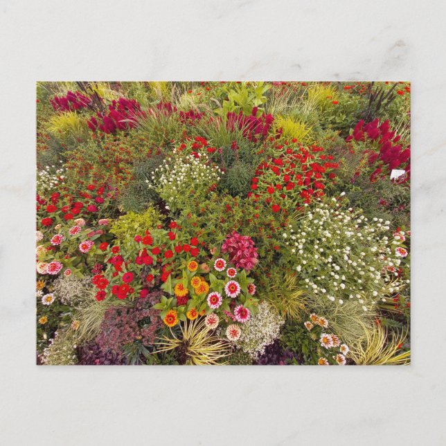 Cartão Postal Flower Power - 10 (Frente)