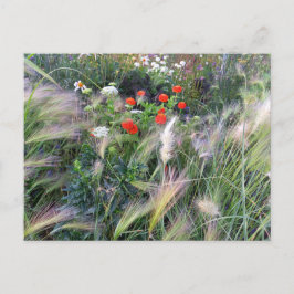 Cartão Postal Flower Power - 13