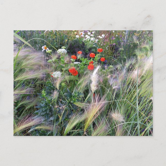 Cartão Postal Flower Power - 13 (Frente)