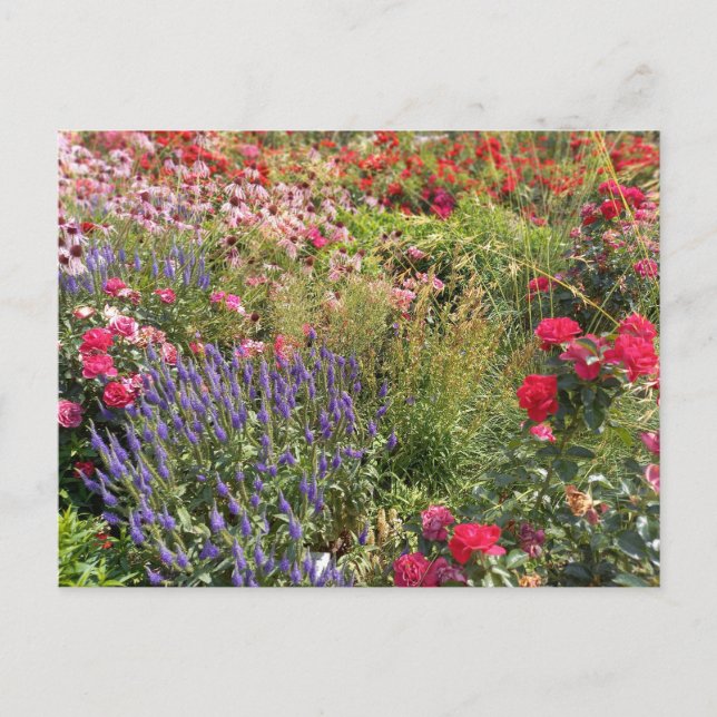 Cartão Postal Flower Power - 3 (Frente)