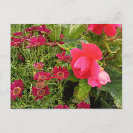 Cartão Postal Flower Power - 9