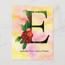 Cartão Postal Flowers Alphabet with Watercolor Background