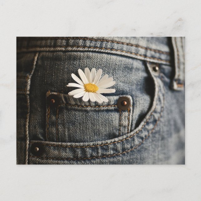 Cartão Postal Flowers | Daisy in Jeans Pocket (Frente)