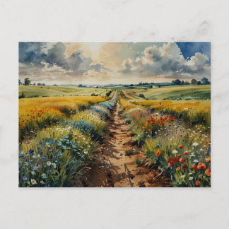 Cartão Postal Flowers Field Summer Flowers Nature Scene