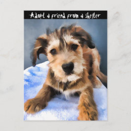 Cartão Postal Fluffy Puppy 3855
