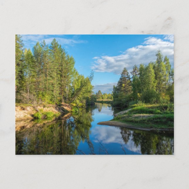 Cartão Postal Fluxo cênico através das árvores do campo (Frente)