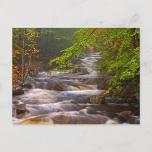Cartão Postal Fluxos ao Longo da Trilha Appalachian