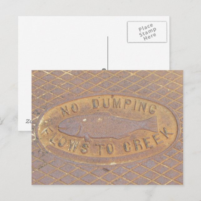 Cartão postal - Fluxos para riacho (Frente/Verso)