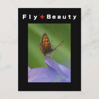 Cartão Postal FLY + Beleza