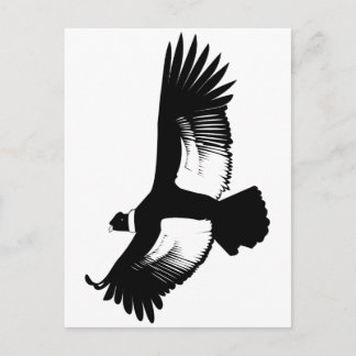 Cartão Postal Flying Andean Condor