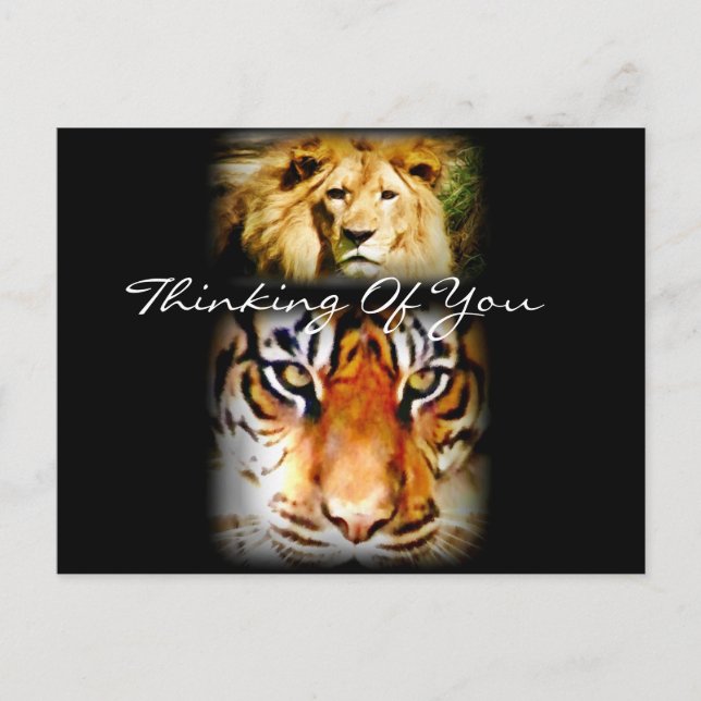 Cartão Postal Foco e coragem_ (Frente)