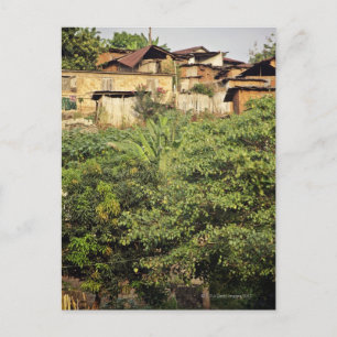 Cartão Postal Foco em árvores de primeiro plano. Aldeia da selv