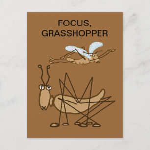 CARTÃO POSTAL FOCUS GRASSHOPPER