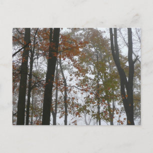 Cartão Postal Foggy Fall na Pensilvânia Autumn Nature