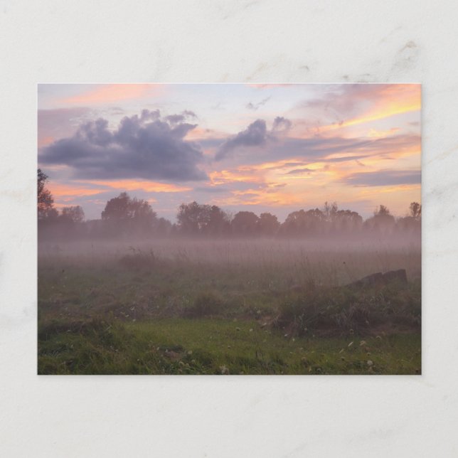 Cartão Postal Foggy Michigan Sunset (Frente)