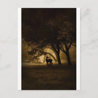 Cartão Postal Foggy Morning