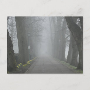 Cartão Postal Foggy Morning