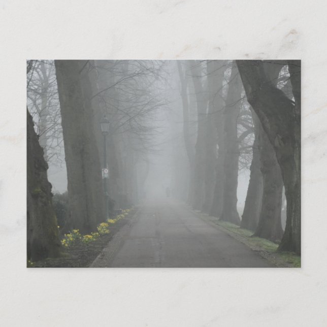 Cartão Postal Foggy Morning (Frente)