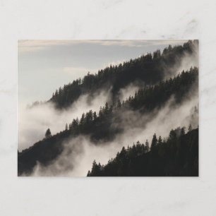 Cartão Postal Foggy Rocky Mountain Colorado USA Adventure
