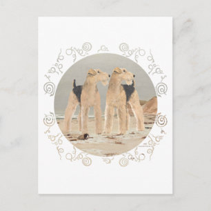 Cartão Postal Foggy Seaside